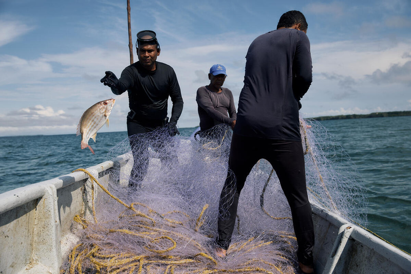 A man tosses a fish into the bottom of a boat while two other men haul up a net.