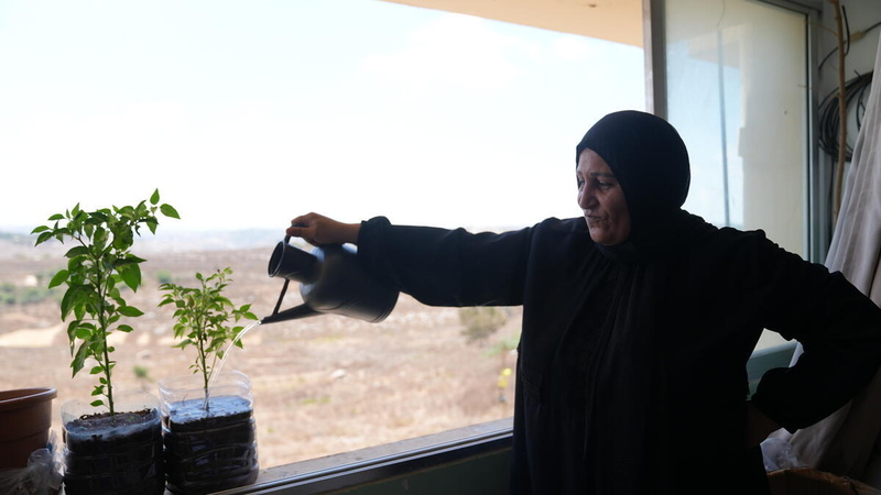 A woman wearing a black dress and headscarf waters plants on a windowsill