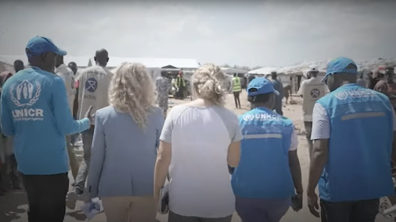 Five UNHCR staff members pictured from behind. 