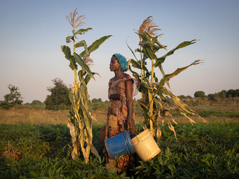 A woman stands in a field planted with vegetables holding two buckets.