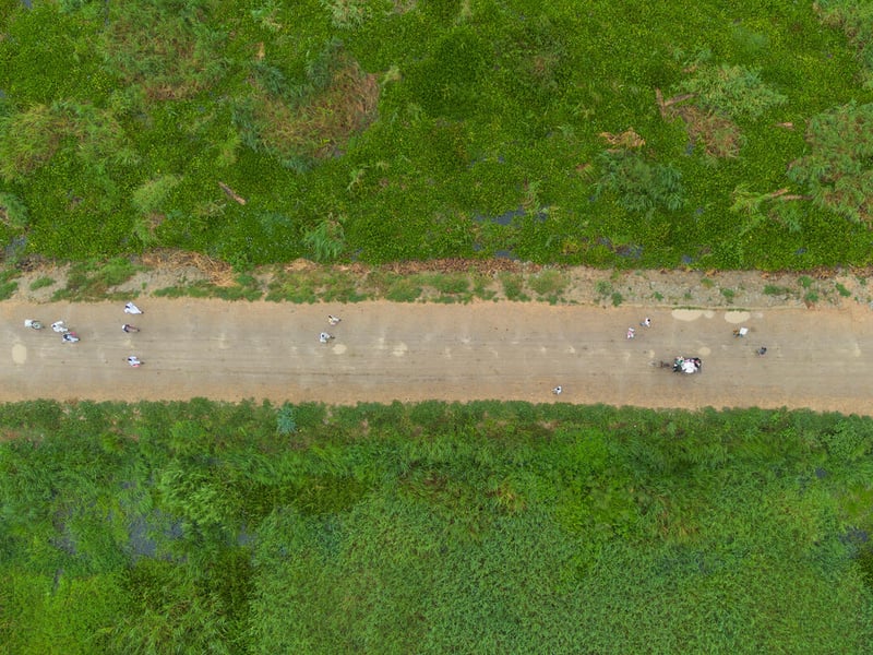 Aerial view of people walking on a wide dirt road between dense greenery.