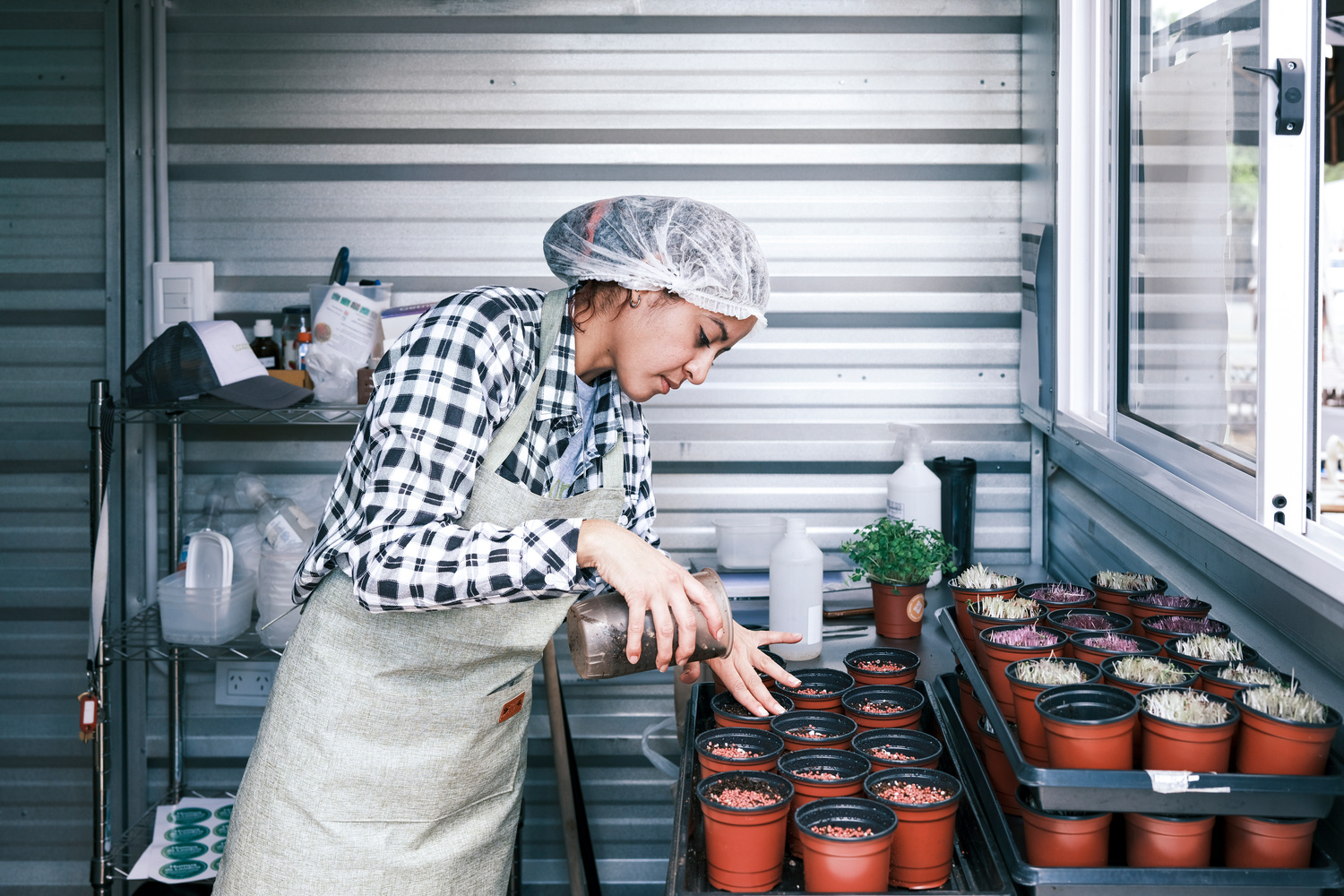 Une femme verse de la terre dans des pots à l'intérieur d'une unité de micropousses.
