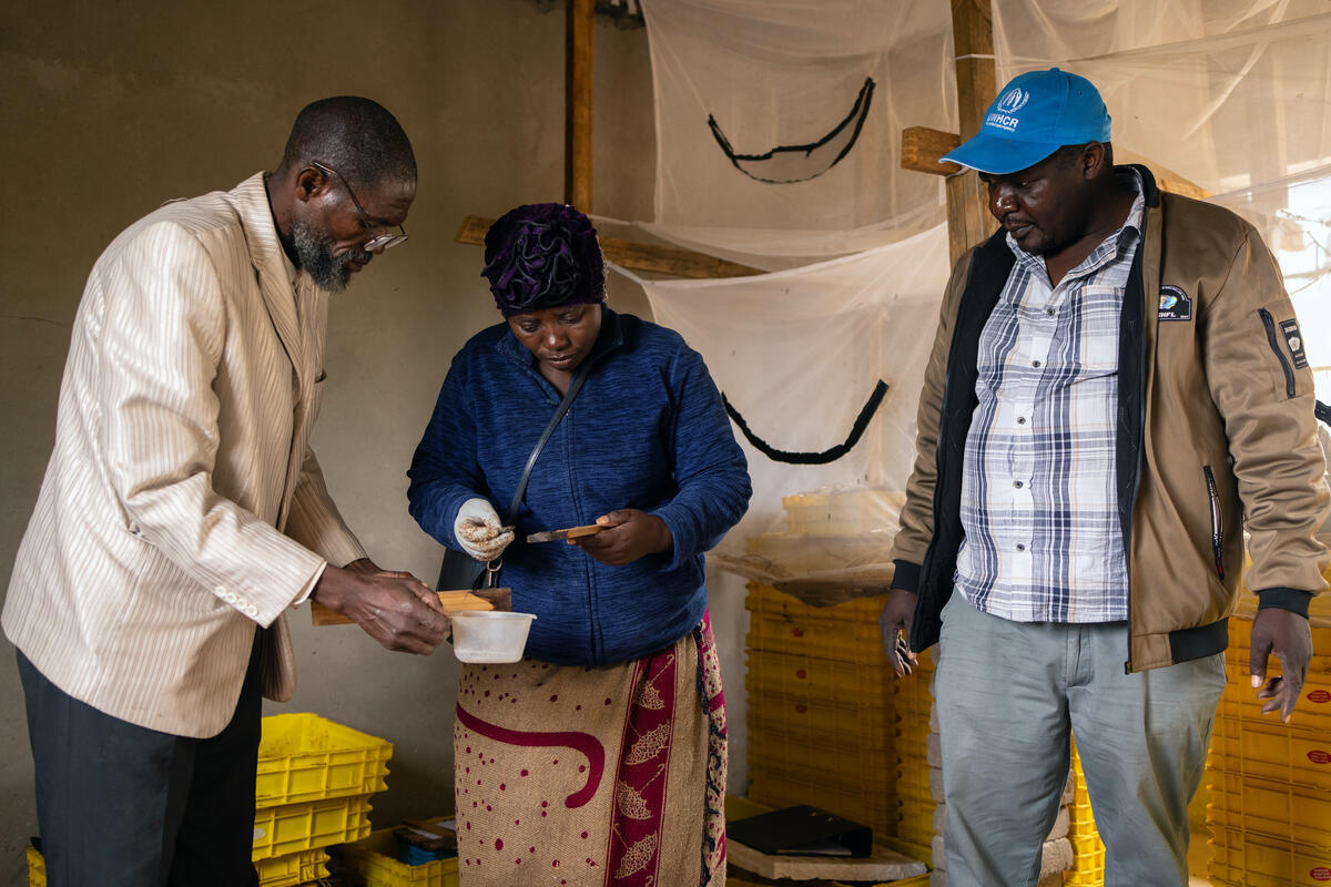 A woman and two men examine fly maggots at an insect farming centre.