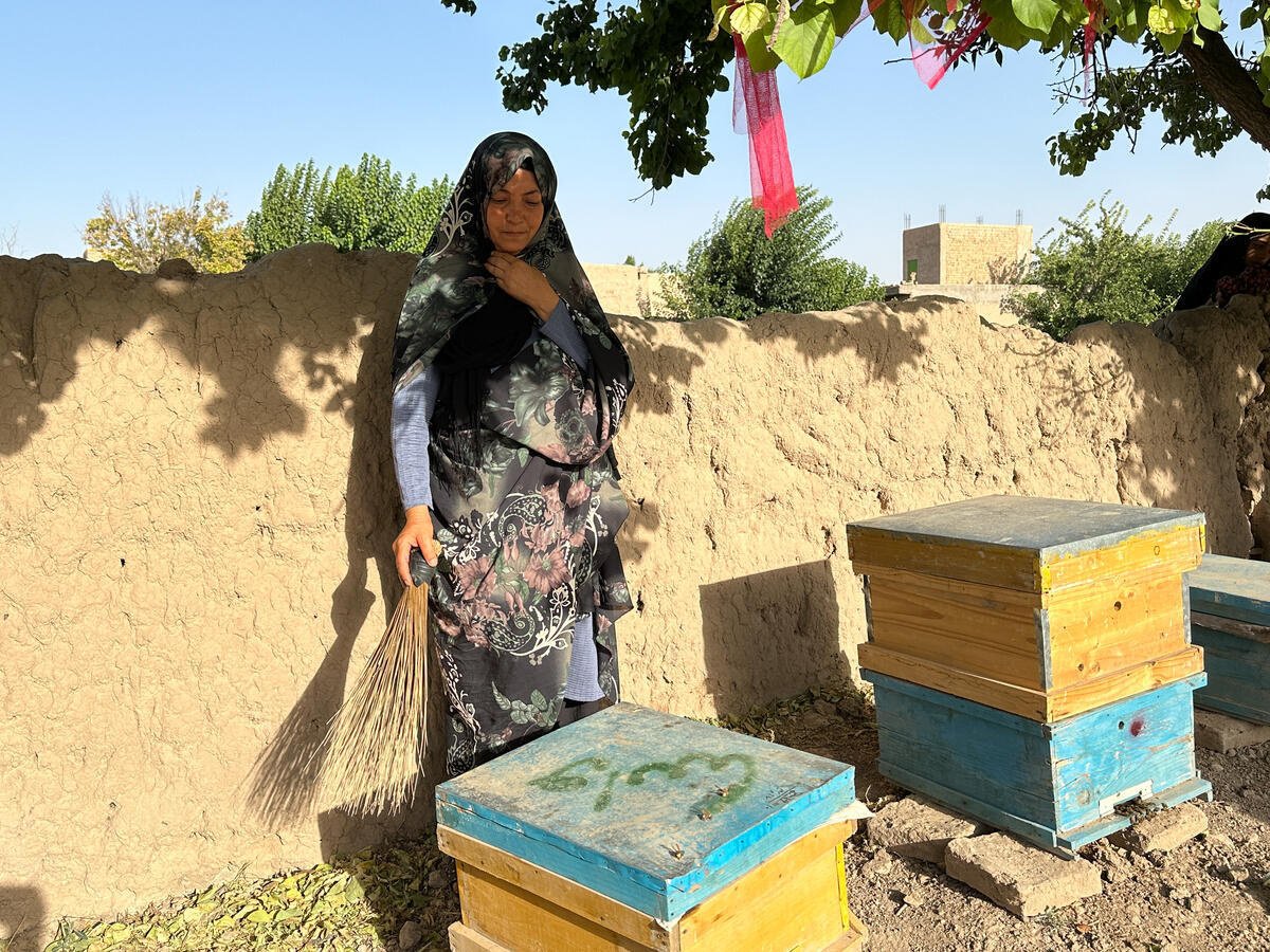 A woman stands holding a broom which she uses to clear her bees from pests