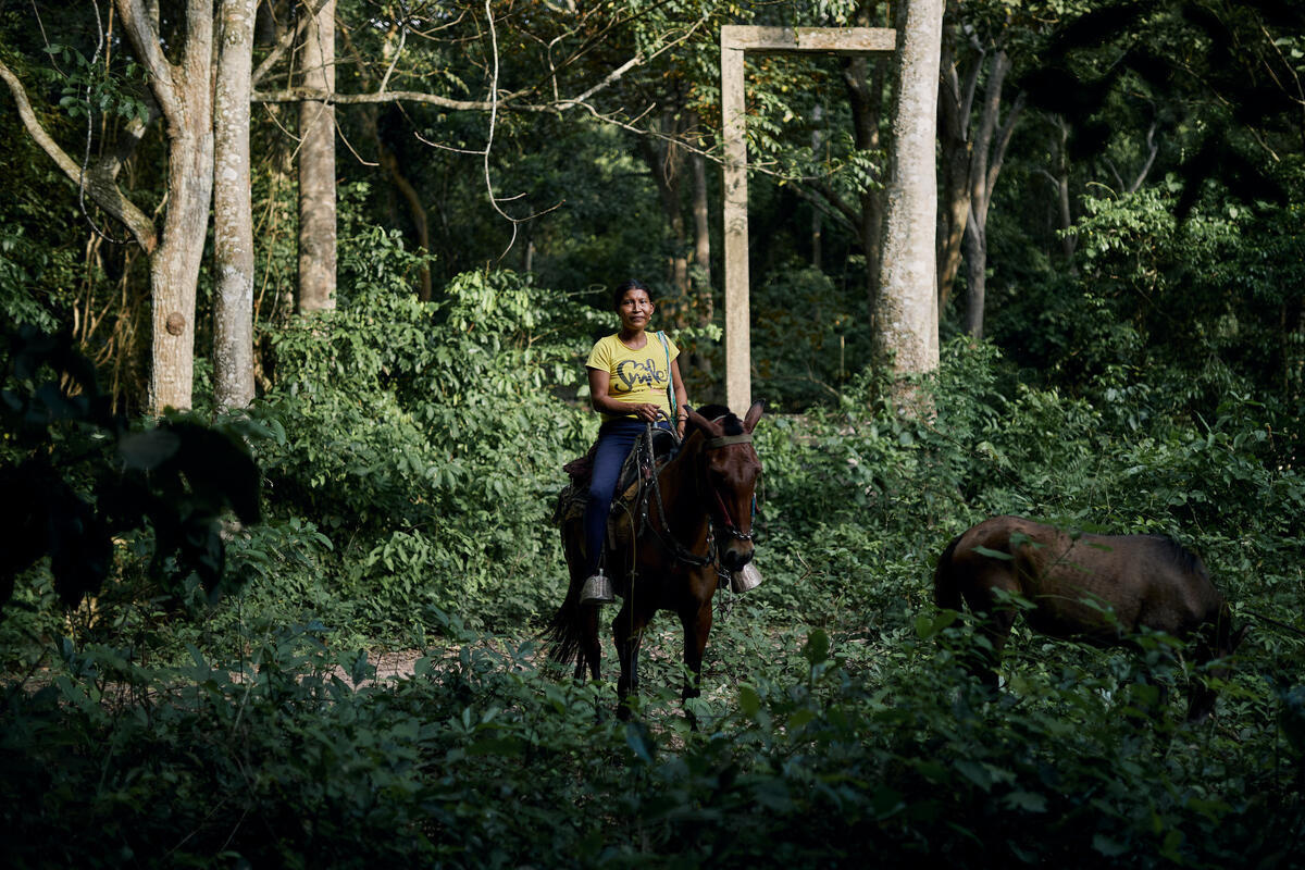 Une femme vêtue d'un t-shirt jaune et d'un jean bleu est assise sur un cheval dans une clairière, tandis qu'un poulain broute à proximité.