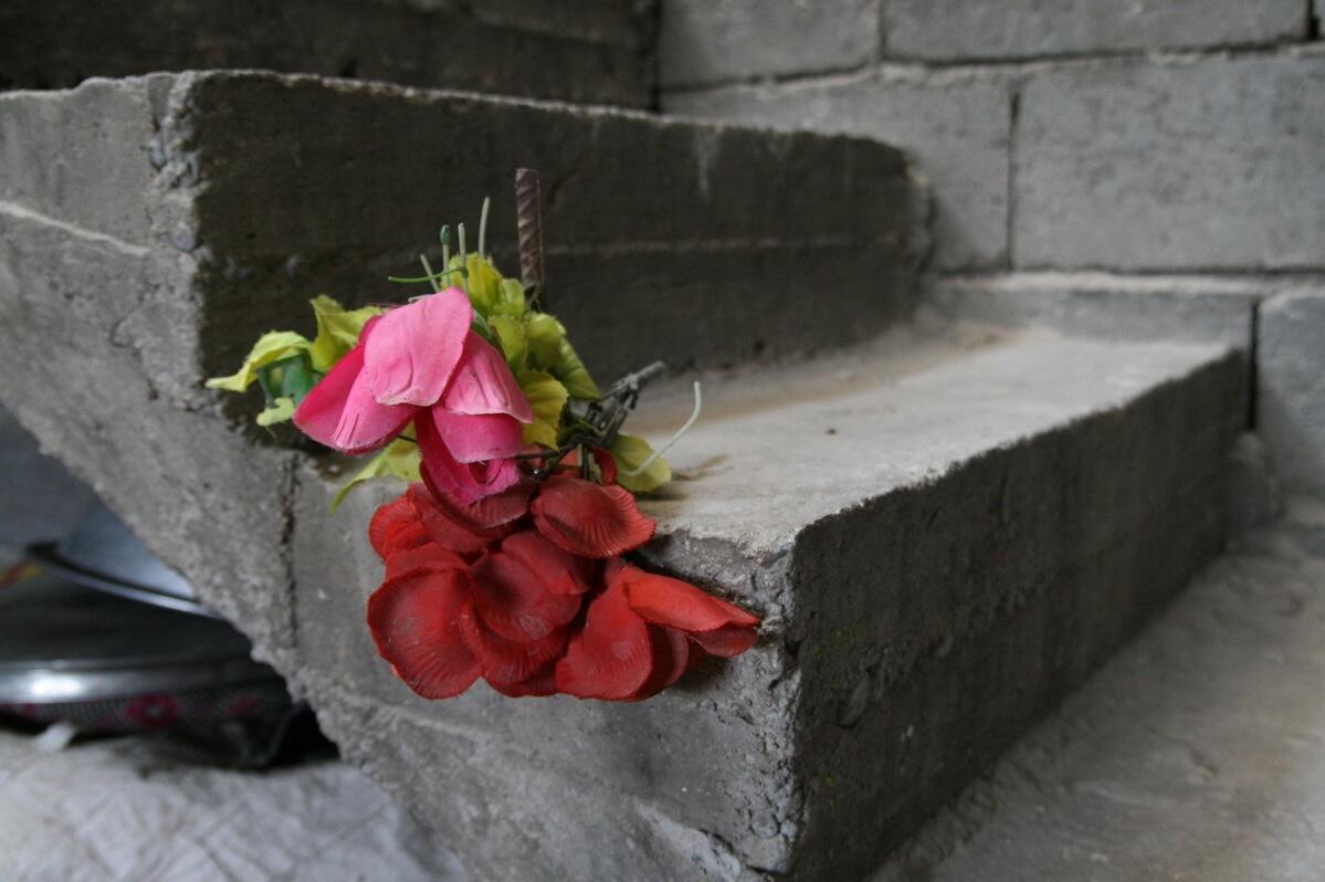 Iraq. Helping returnee families in Falluja