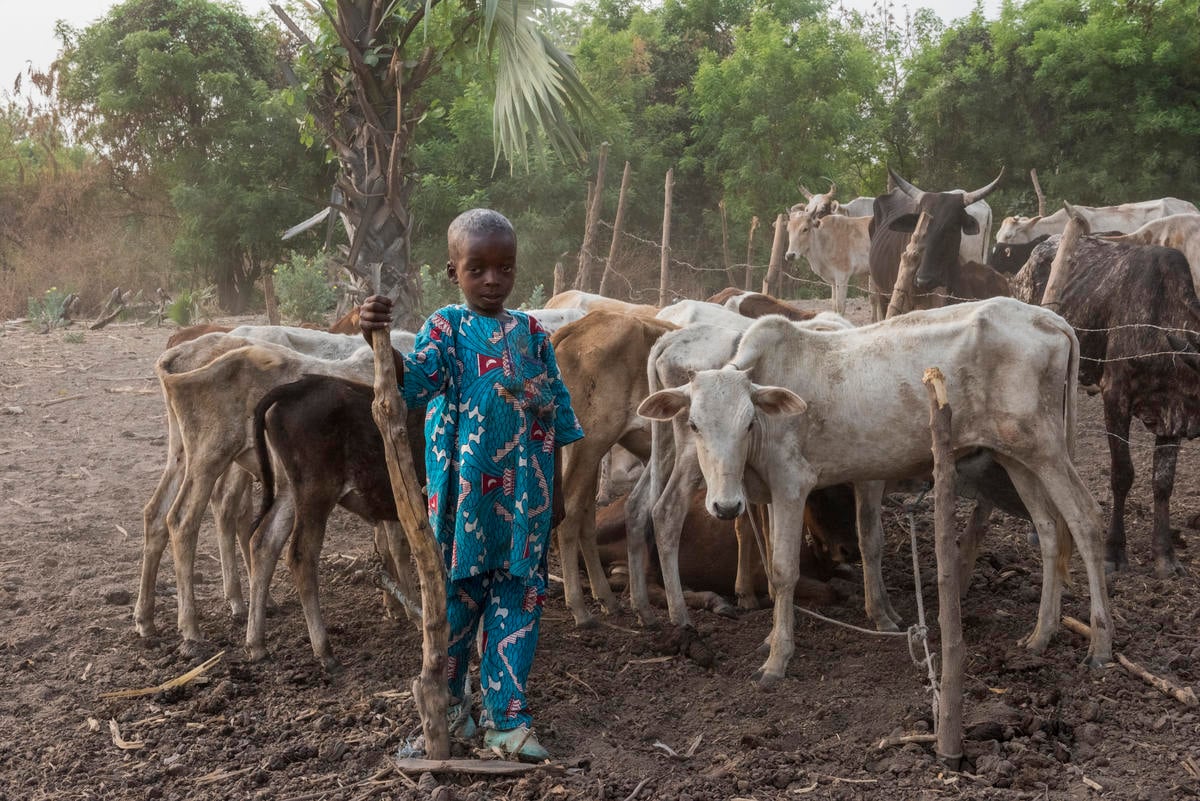 Côte d'Ivoire. Statelessness an issue for Fula people