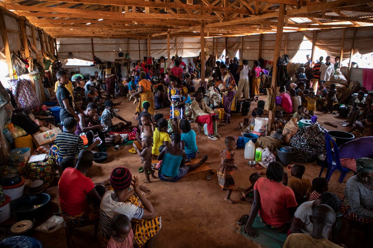 Nigeria. UNHCR launches appeal for Cameroonian Anglophone refugees