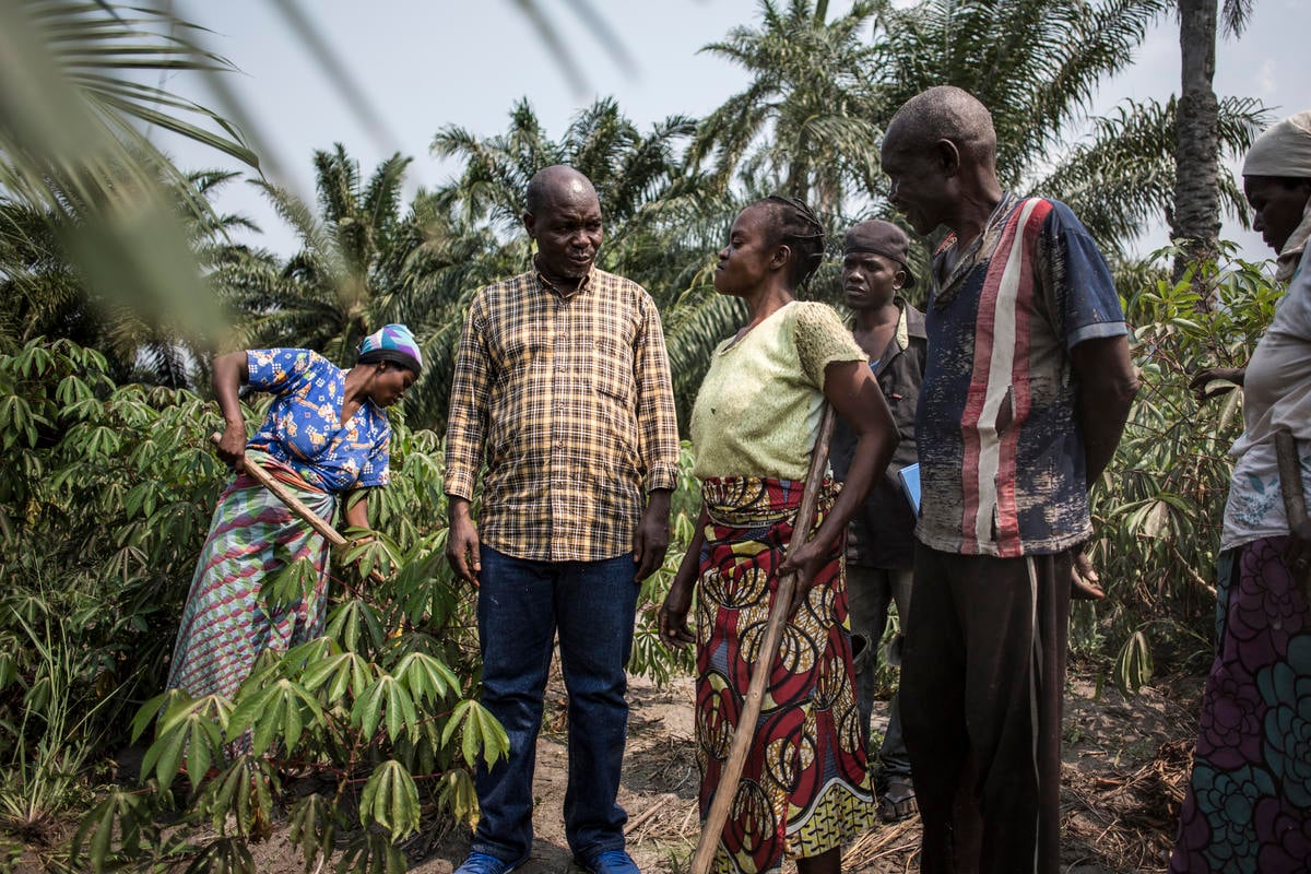 Democratic Republic of Congo. Peace villages and agricultural empowerment earn Evariste Mfaume a Nansen nomination