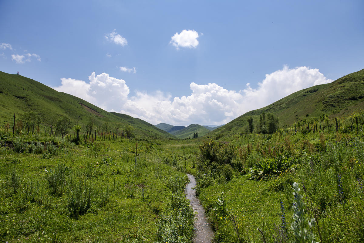 Kyrgyzstan. Landscape near the beekeeping farm of Saparov Abdusamat, 54.