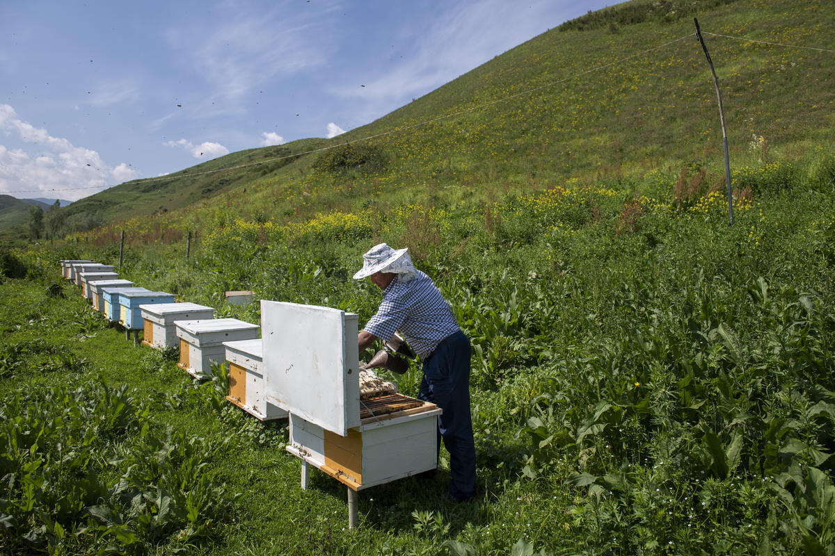 Kyrgyzstan. Saparov Abdusamat, 54, was stateless until recently.  After receiving his identity papers he can now work as a beekeeper and produce honey