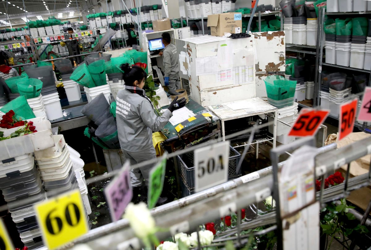 Colombia. Private sector steps up to employ Venezuelan refugees and migrants