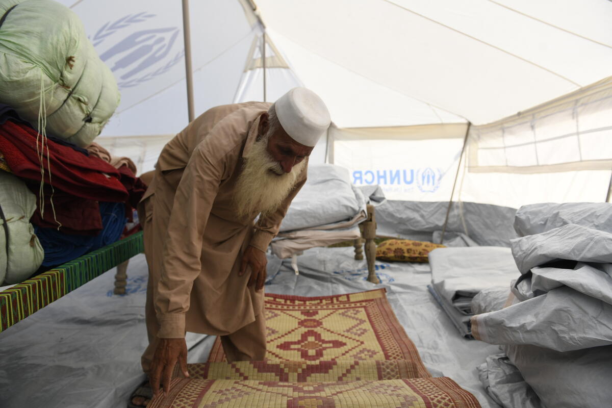 6311ae372.jpg