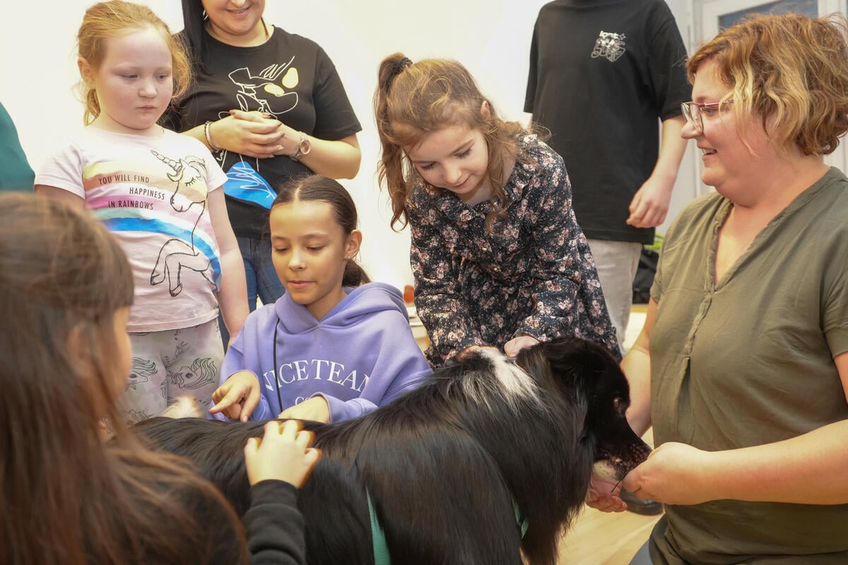 Un Border Collie negro llamado Noir es el centro de atención en una sesión de terapia grupal para niñas y niños refugiados de Ucrania.