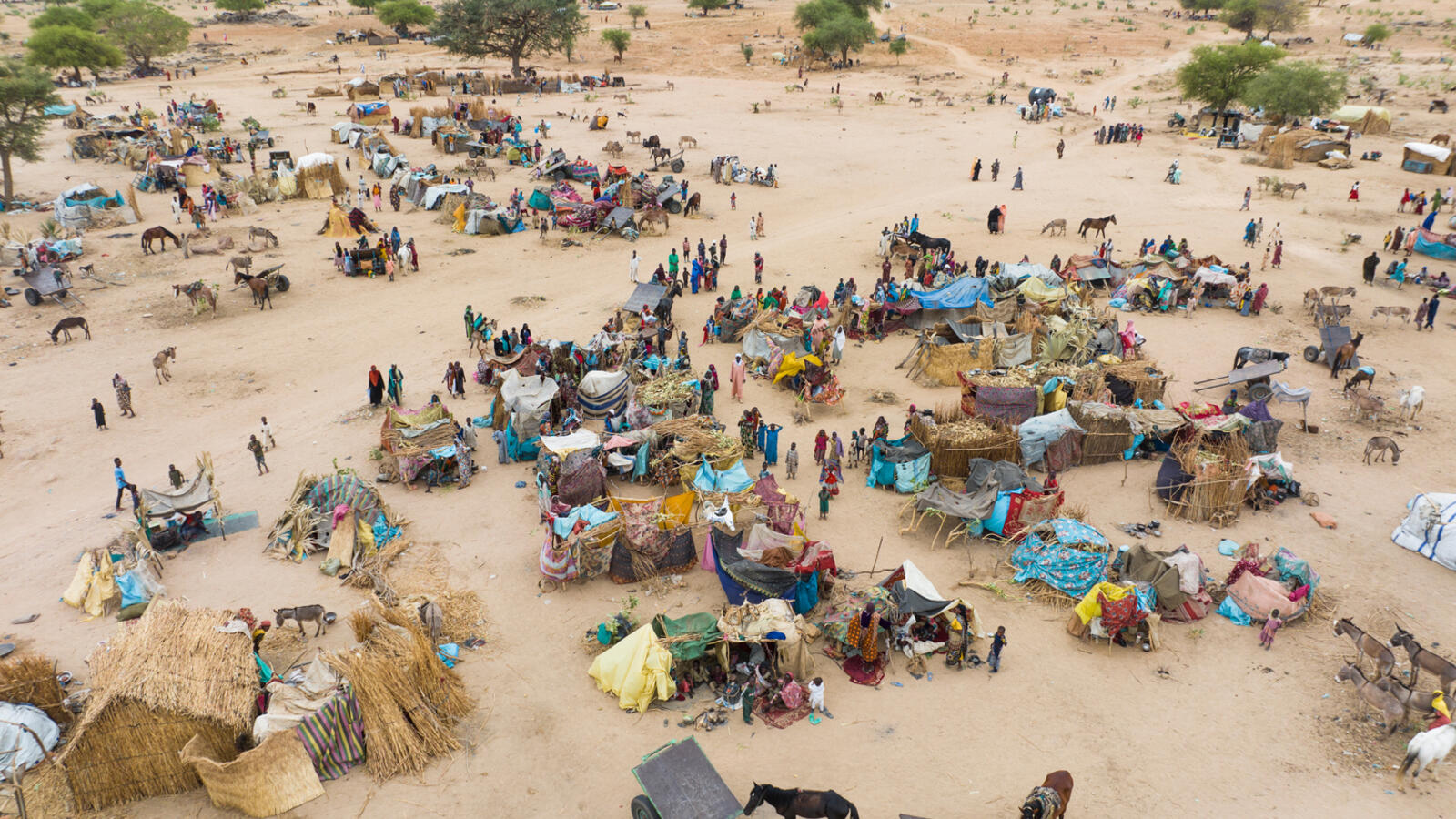 Abris dans un paysage aride