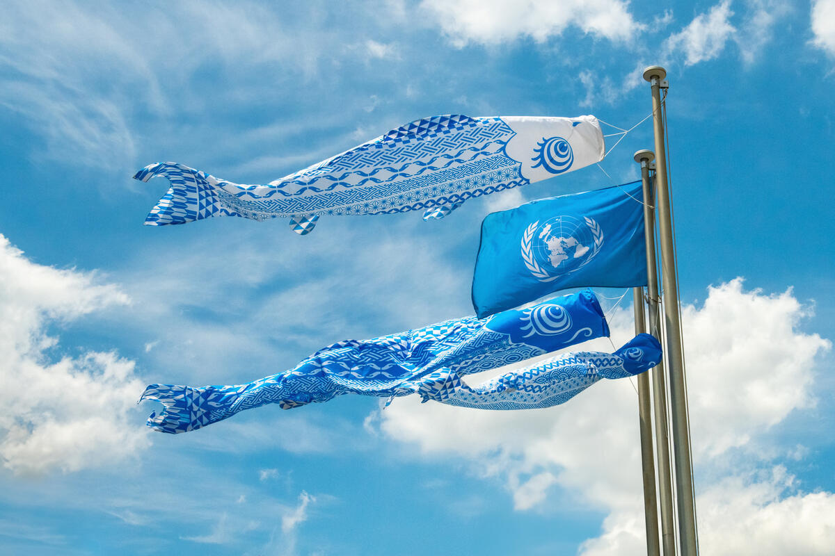 Un drapeau des Nations Unies sur un mât à côté de trois 'koinobori' (banderoles décorées en forme de carpe) dans un ciel bleu avec quelques nuages blancs.