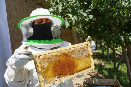 A woman in a protective beekeeping outfit holds up a frame of honeycomb.