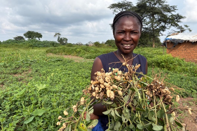 Au Cameroun, un projet de maraîchage aide les réfugiés du site de Gado à gagner en autonomie.