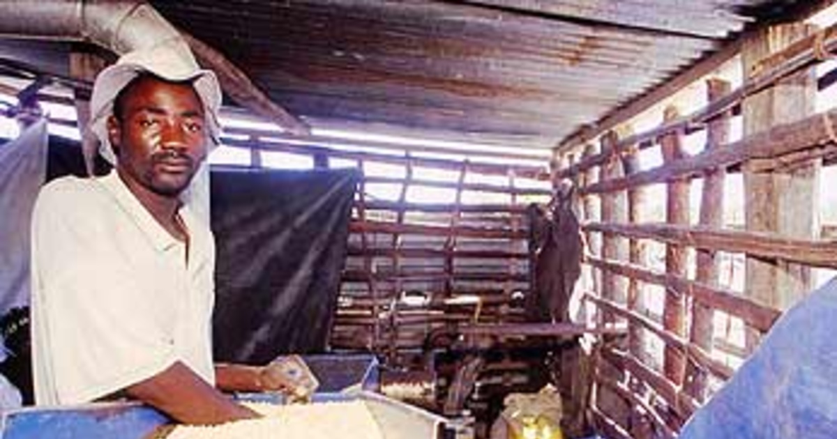 UNHCR appeals for 5 million to kickstart Zambia project UNHCR