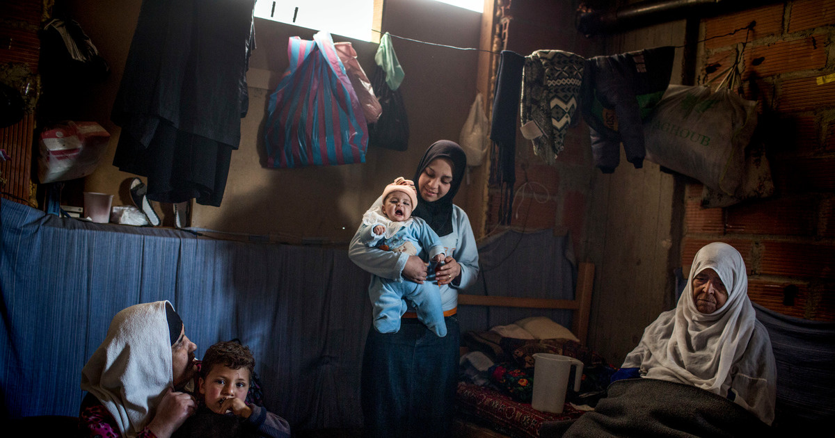 UN and partners seek US$4.4 billion to aid Syria refugees | UNHCR