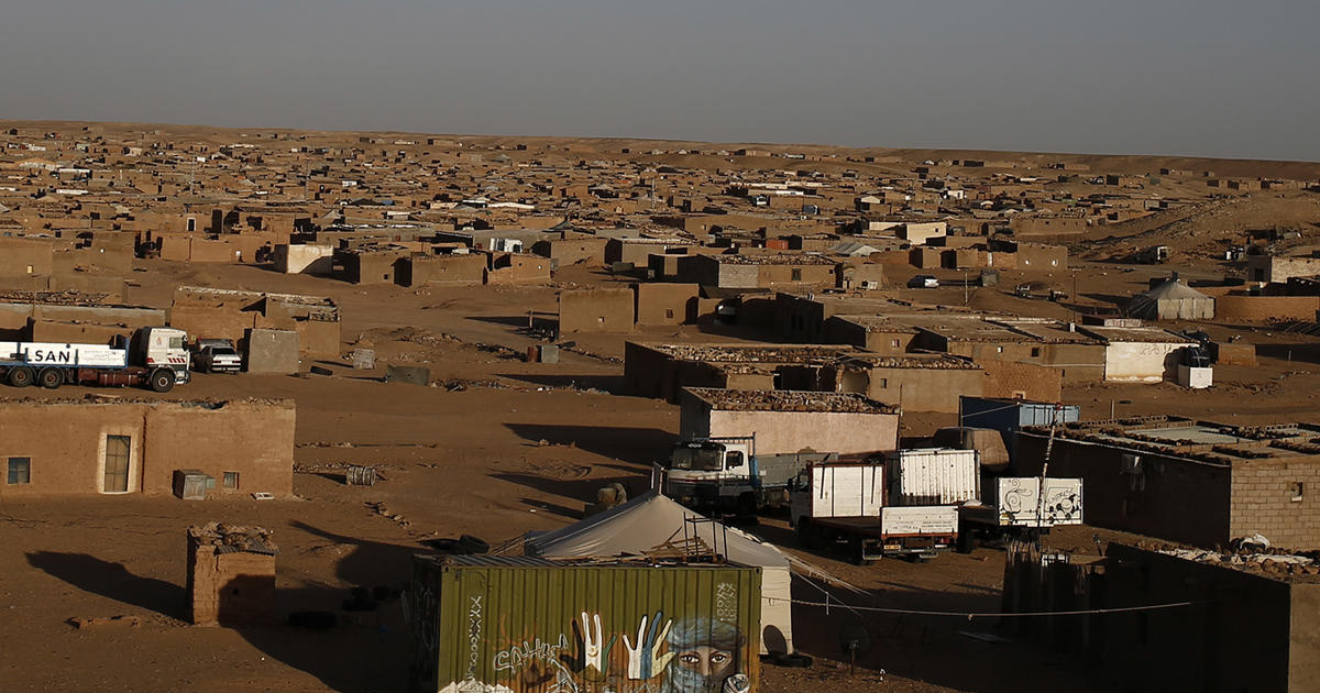 Sahrawi refugees in COVID-19 lockdown hit by livestock epidemic | UNHCR