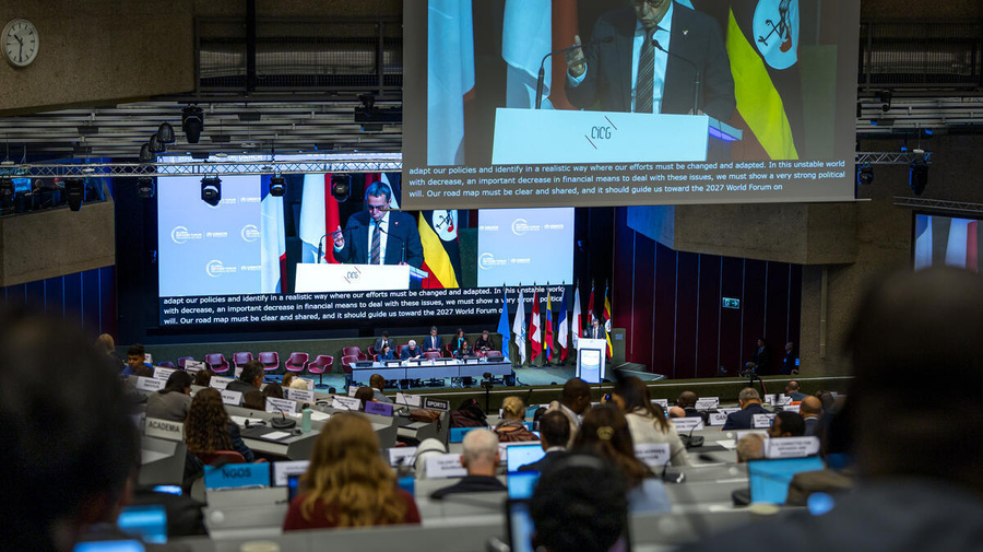 View of the plenary room, showing delegates sitting and watching the event livestream on a screen.