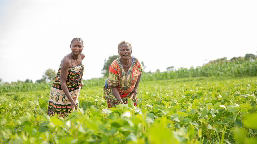 Zambia. inclusive policies allowing refugees to flourish in farming.