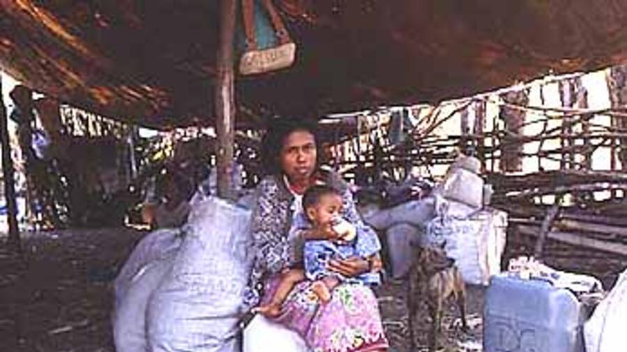 Nearly 60,000 East Timorese still remain in squalid camps across West Timor.