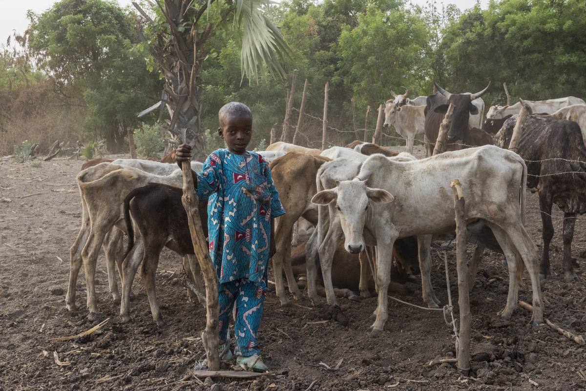 Côte d'Ivoire. Statelessness an issue for Fula people
