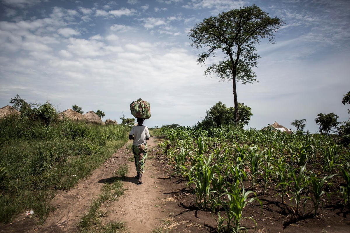 Democratic Republic of Congo. South Sudanese refugees grow local economy