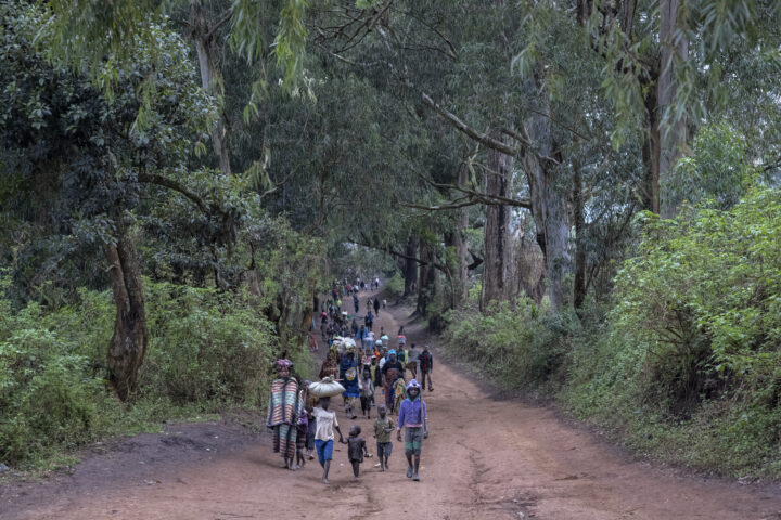 Displaced people walk back to Plain Savo site early morning after spending the night in host families in the nearby city of Bulé. They do not feel safe sleeping in their shelters in Plain Savo after the site was attacked by armed men on 1 February 2022, leaving 62 people dead. Once in Plain Savo, many will go to work in surrounding fields before returning to Bulé  by the end of the afternoon. ; At least 5.6 million people are displaced inside the DRC, the largest internal displacement situation in Africa. Some 132 armed groups across the eastern regions of the country - operating predominantly in Ituri, North Kivu and South Kivu provinces - continue to target civilians in a growing number of deadly attacks, leading to increased displacement, killings, and human rights abuses. In Ituri province alone, 1,8 million are displaced in settlements or villages as a result of brutal attacks, mainly by the CODECO (Cooperative for Development of the Congo) and the ADF (Allied Democratic Forces) militia groups. The IDP situation in eastern DRC is part of a wider regional crisis relating to a struggle for control of land and resources as well as fragile infrastructure in the region. The country also hosts 571,000 refugees and asylum seekers. UNHCR is appealing for increased funding to adequately support the rising needs of the displaced in the DRC. More than 1 million Congolese people have also found refuge in neighbouring countries, fleeing recurring violence.d
