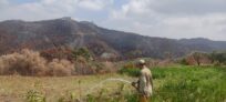How UNHCR Syria’s water support helped Latakia villages survive during the summer wildfires