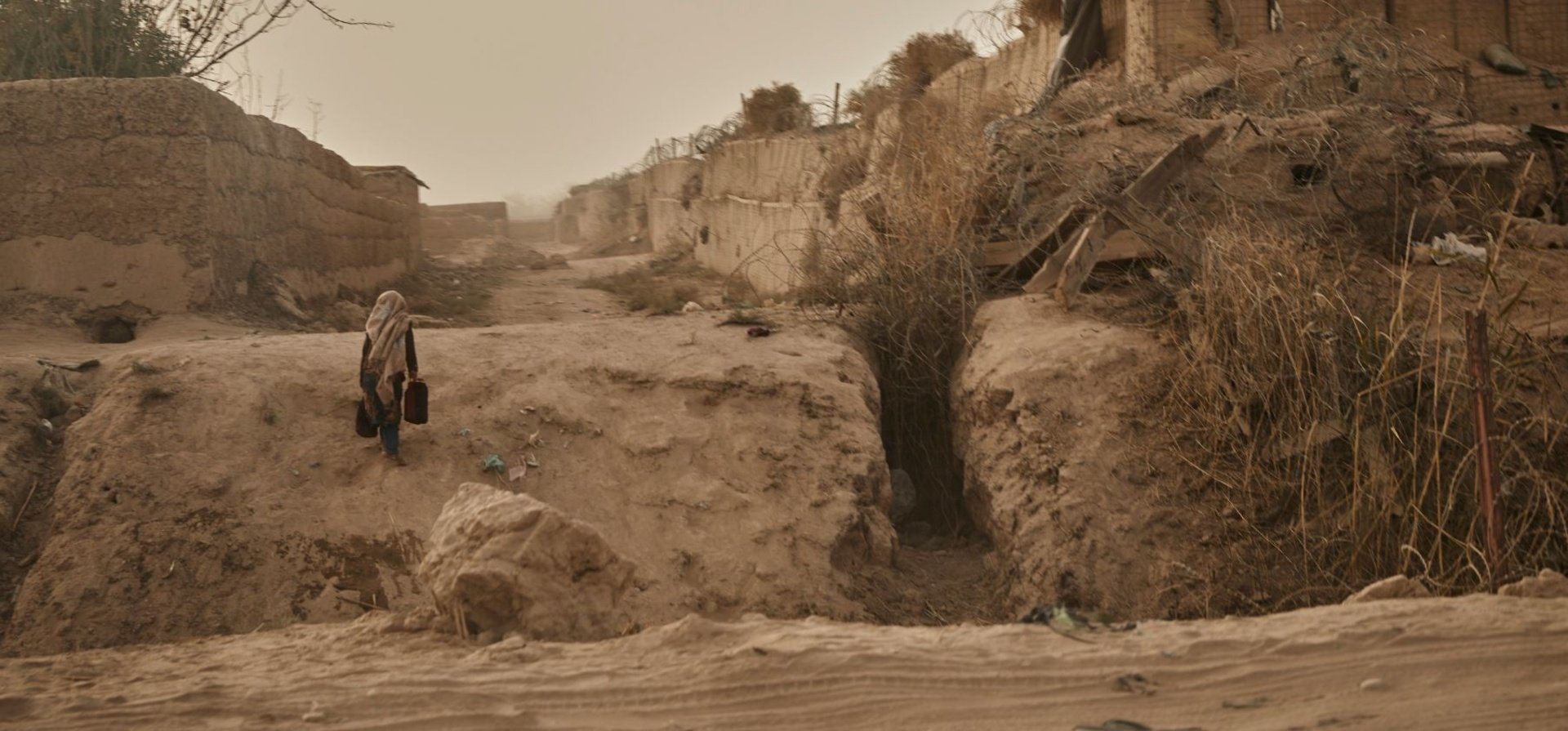 2025_climate_change_drupal_site_home_page_rf1194419