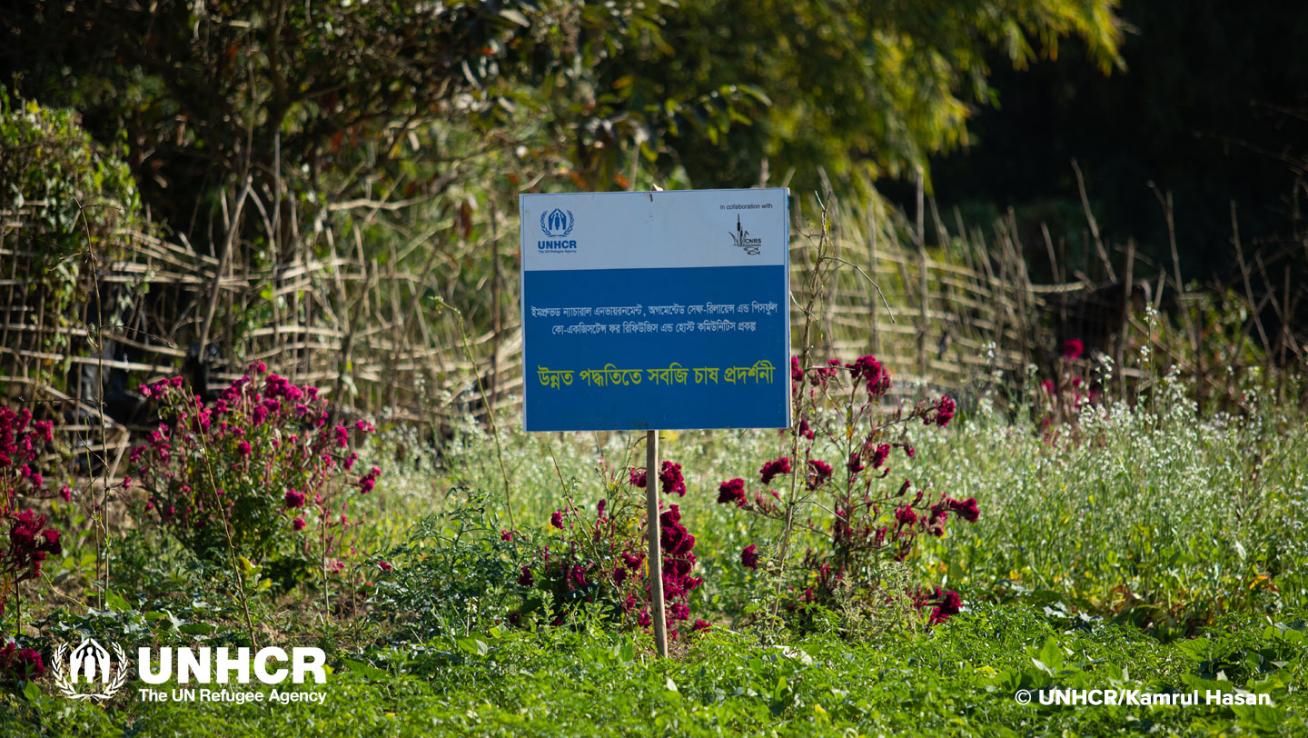 UNHCR and its partner CNRS created and support the local vegetable collection centre. © UNHCR/Kamrul Hasan