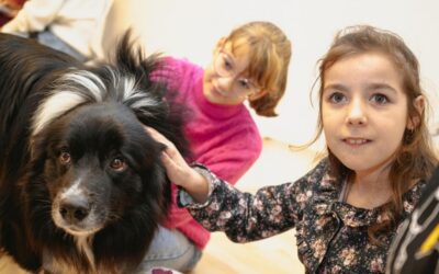 Ukrainian refugees relieve stress with a support dog named Noir
