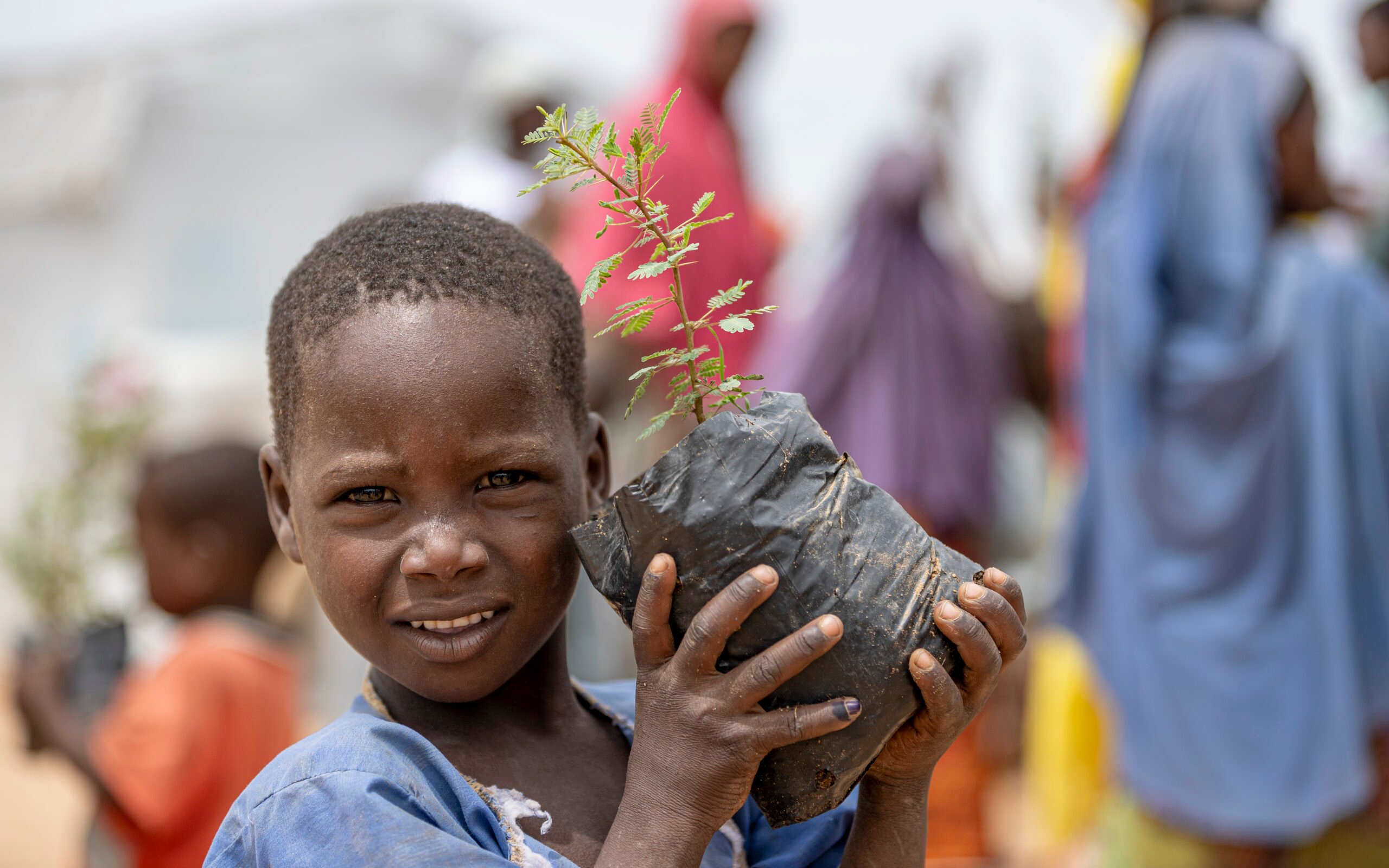 To combat desertification in the Far North region of Cameroon, internally displaced people (IDPs) and locals have planted 2,000 trees in the Bogo site for IDPs. © UNHCR/Eugene Sibomana<br />
M