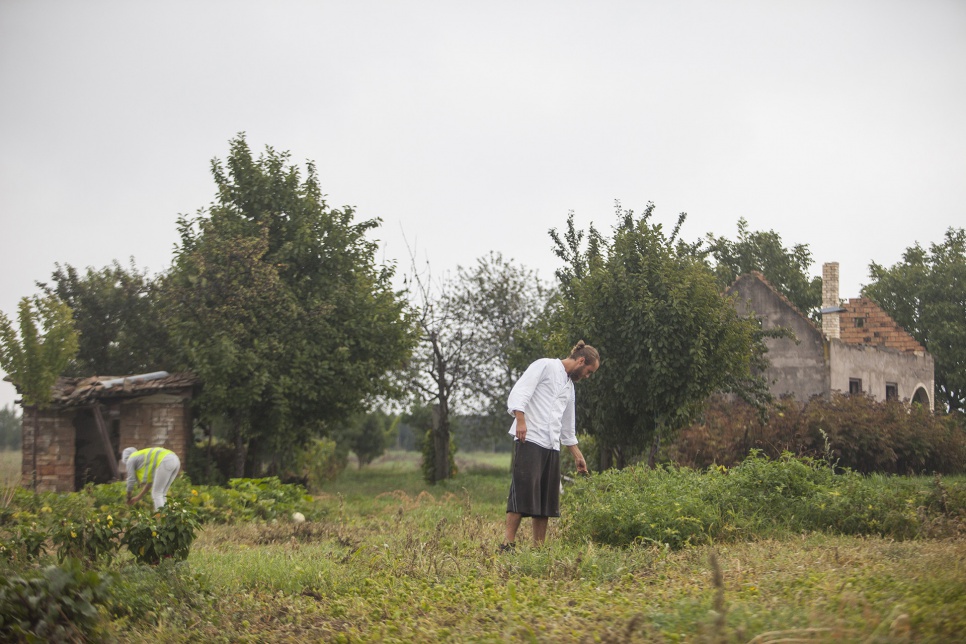 Victor looks for herbs growing near the village of Bapska, Croatia, where he is cooking for weary refugees and migrants.