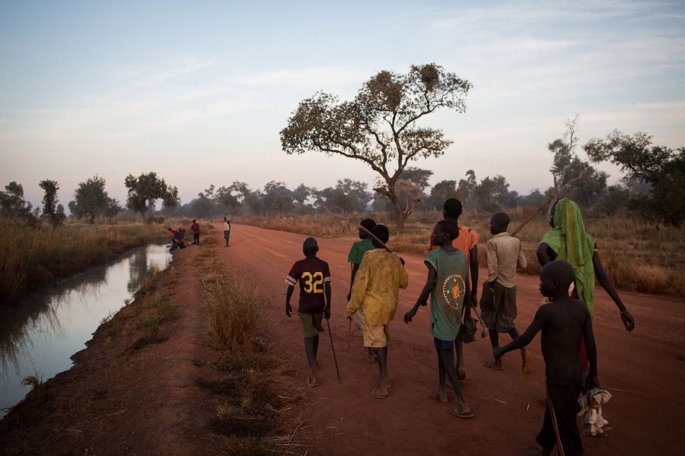 At the first light of day, Sudanese refugees walk towards a lake formed by floodwaters near the town of Yida, South Sudan. They are looking for mudfish. Late in the rainy season, children from Yida arrive by the hundreds to fish at the temporary lake.
