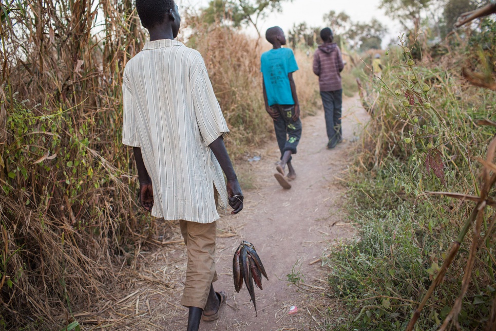 Carrying their day's catch, Kir Buth, 15, trails Guor Path, 14, and Dictor Arak, 15, on their way back from a swamp near Yida, South Sudan. They will immediately take the fish to market to sell, sharing the money equally.