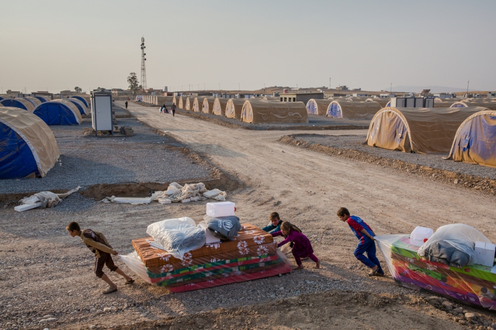 Iraq. Internally displaced Iraqis reach safety