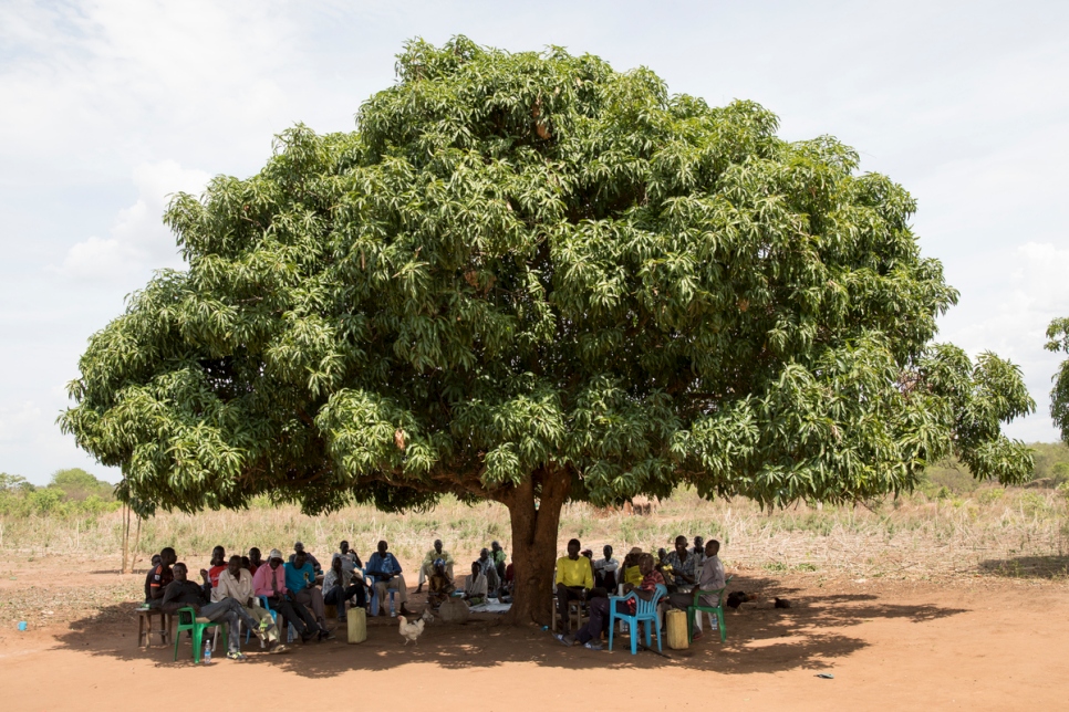 السكان المحليون واللاجئون من جنوب السودان يلتقون في مزرعة يحيى أوندوغا الذي منح جزءاً من أرضه للاجئين بموجب تبرعٍ رسمي وهو يسمح للعائلات بزراعة المحاصيل في أراضٍ أخرى. 
