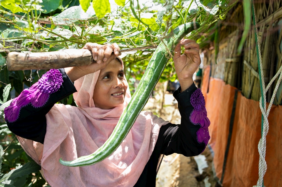 Sahera harvesting vegetables from her garden
