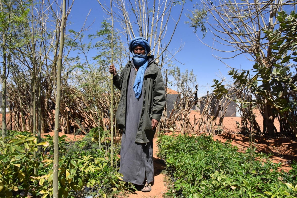 أحمد آغ البخاري في مشتل في مخيم أمبرة حيث يزرع اللاجئون الماليون النباتات لإعادة التشجير. 