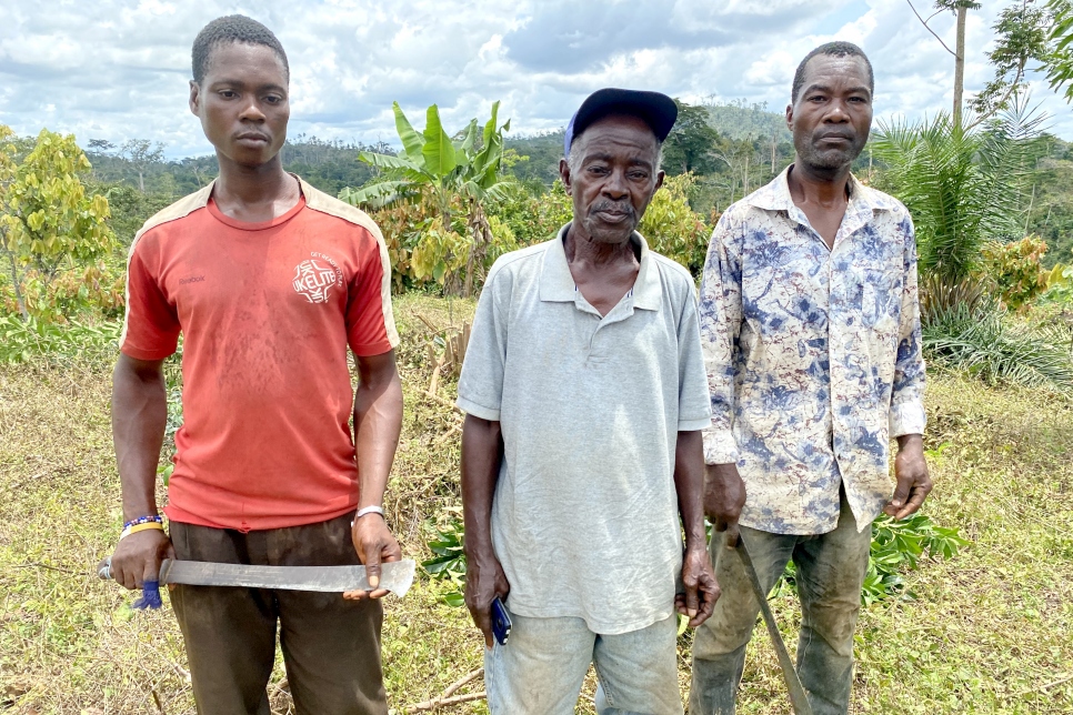 Paul Bah (centre), 71, went through nine years of legal proceedings to get his 1,000-hectare cocoa plantation back from the people who occupied it while he was in exile. © UNHCR/UNHCR