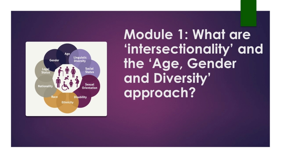 A screenshot of a powerpoint slide. Text reads 'What are 'intersectionality' and the 'Age, Gender and Diversity' approach?'

