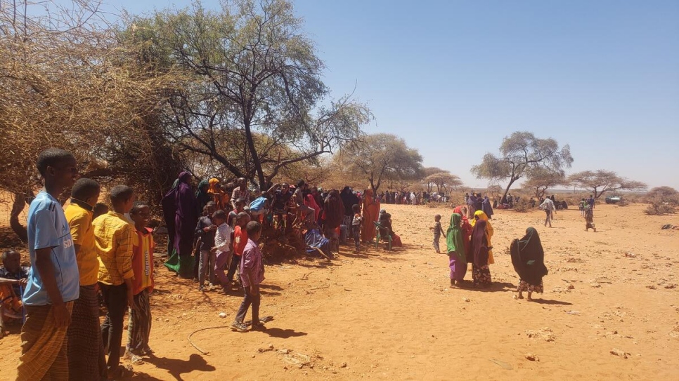 Tens of thousands arrive in Ethiopia in fleeing clashes Laascaanood
