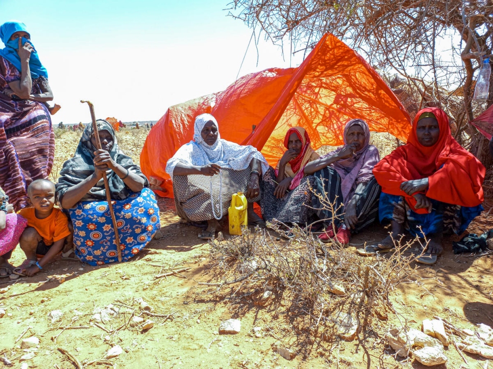 In Just One Month, 100.000 More Somali Refugees Arrive in Ethiopia to Escape Violence - Vimarsana News