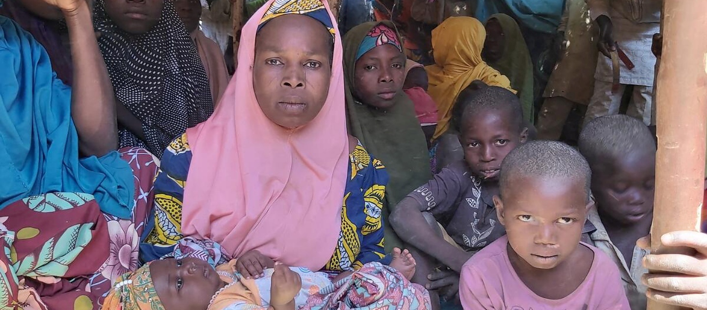 Niger. Surging violence in Nigeria fuels displacement