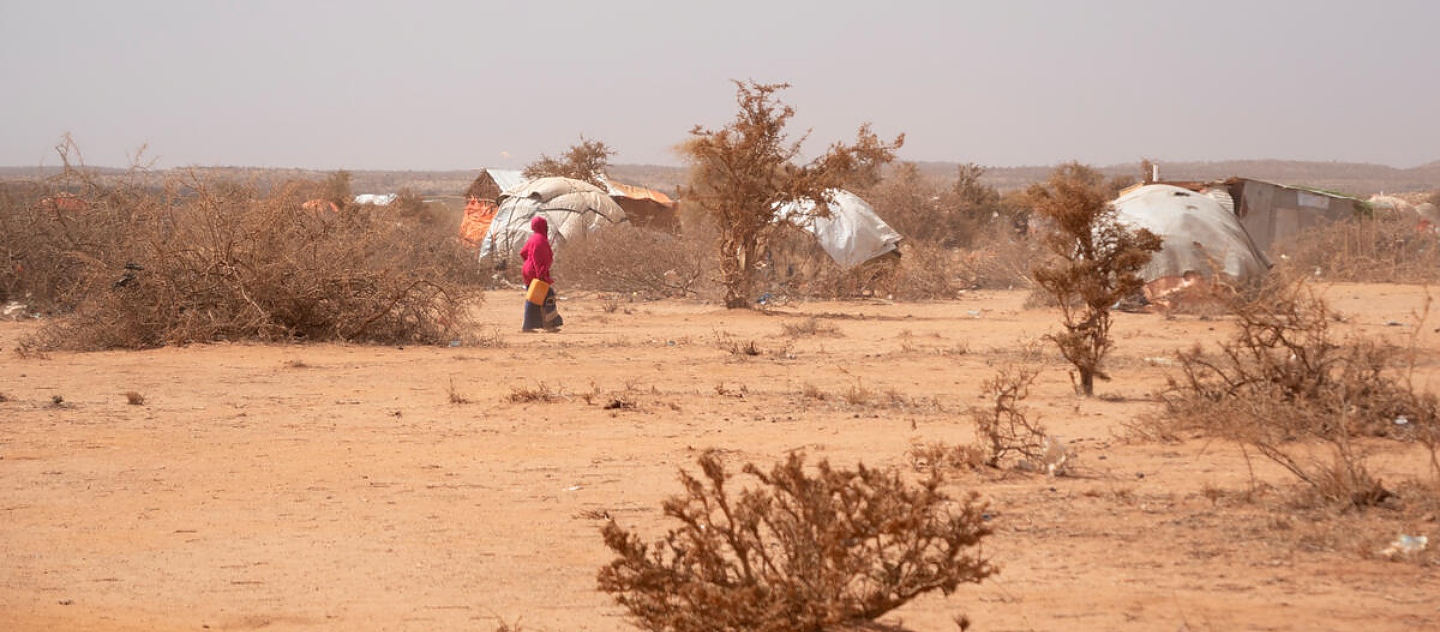 Somalia. Dire needs for displaced Somalis as droughts continue