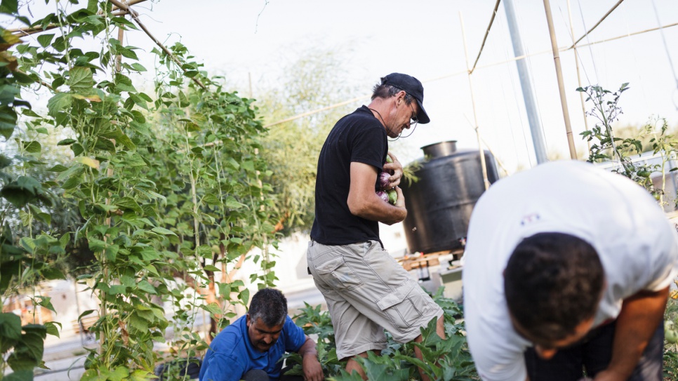 Horticulturalist David Triboulot voluntarily teaches refugees how to grow vegetables on Lesvos. The produce is distributed to needy families.